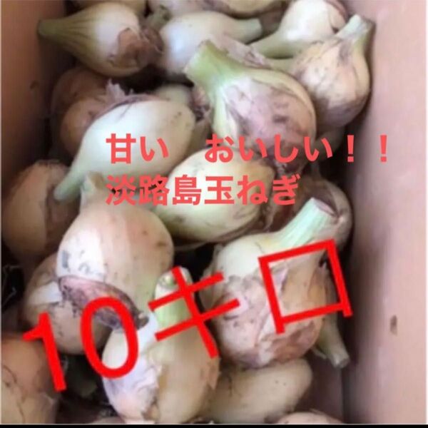 玉ねぎ 淡路島 玉ねぎ 格安 訳あり 淡路島産 たまねぎ 10キロ 減農薬