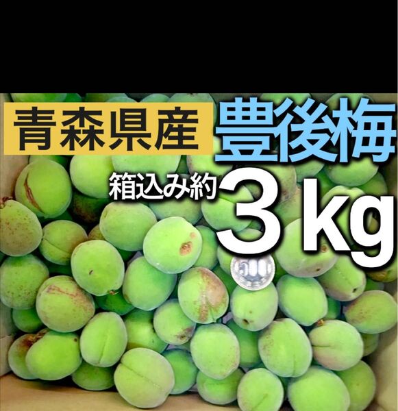 6.青森県産 豊後梅 青梅 傷あり 箱込み約3kg