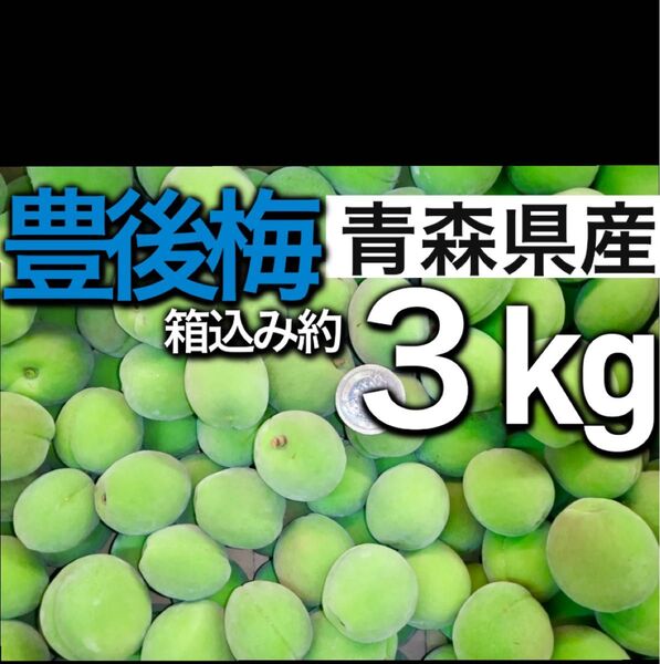 5.青森県産 豊後梅 青梅 箱込み約3kg