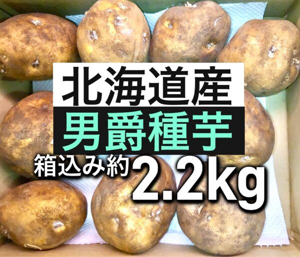 2.北海道産 男爵 じゃがいも 種芋 箱込み約2.2kg