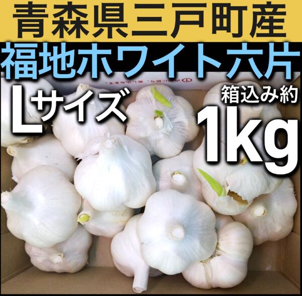 9.青森県三戸町産 福地ホワイト六片 にんにく 箱込み約1kg