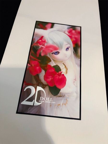 2D DOLL ボディ +おまけ(20日まで)