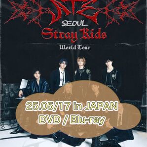stray kids DVD 0517