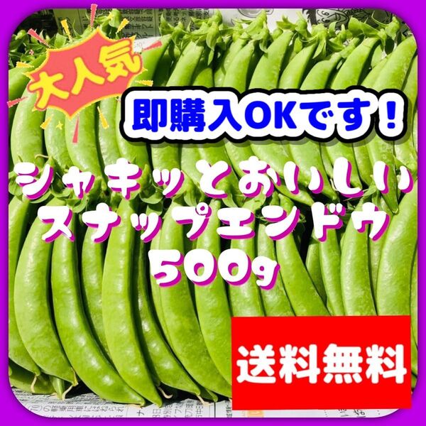 大人気!スナップエンドウ500g☆美味しい野菜②
