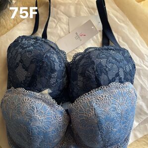 新品未使用 ブラデリスナオミステップ2 ブルー系セット F75ブラ 大きい