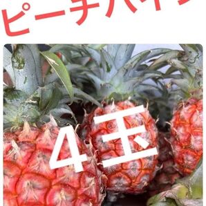 沖縄県産 ピーチパイン