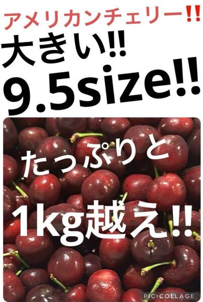 アメリカンチェリー 1kg越え