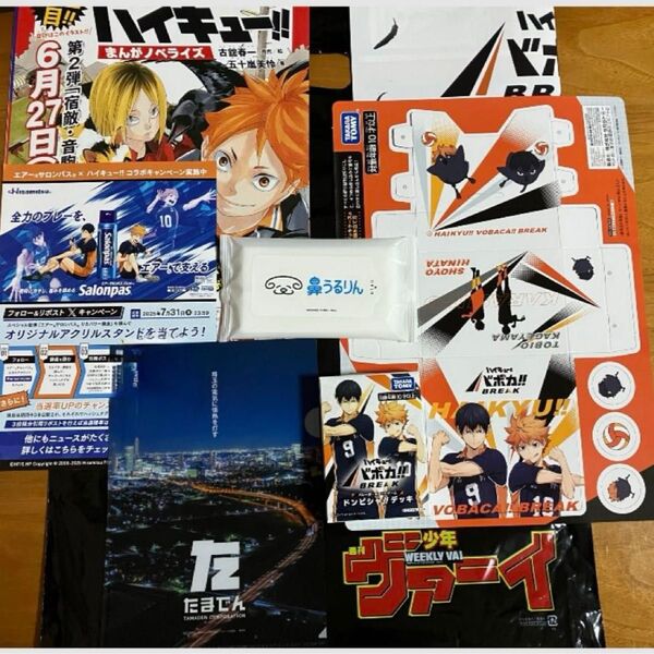 ハイキュー!! ファンパーク 入場特典 FAN PARK