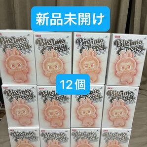 THE MONSTERS Labubu Big into Energy シリーズ 12個