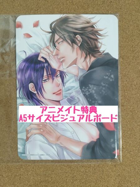 特典のみ◆無慈悲なヨルに◆桜賀めい◆アニメイト特典A5サイズビジュアルボード