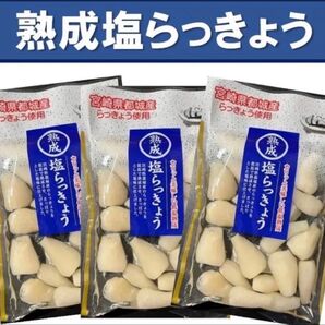 【宮崎のお漬物】熟成・塩らっきょう(塩漬け)80g 3袋 上沖産業さっぱり塩味