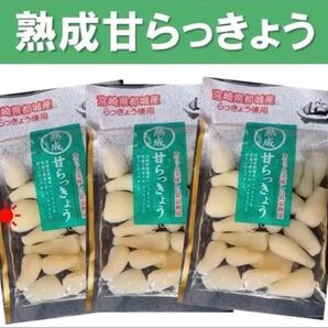 【宮崎のお漬物】熟成・甘らっきょう(甘酢漬)80g 3袋 すっきり甘酢 上沖産業
