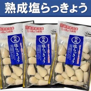 【宮崎のお漬物】熟成・塩らっきょう(塩漬け)80g 3袋 上沖産業さっぱり塩味