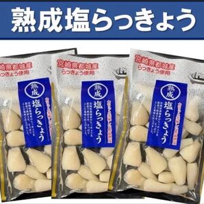 【宮崎のお漬物】熟成・塩らっきょう(塩漬け)80g 3袋 上沖産業さっぱり塩味