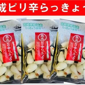 宮崎のお漬物】熟成・ピリ辛らっきょう(甘酢漬)80g 3袋 唐辛子のピリ辛
