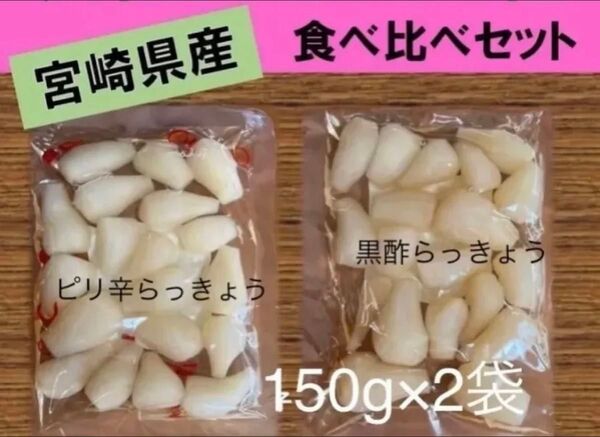 【宮崎のお漬物】ピリ辛らっきょう 玄米黒酢らっきょう 2袋セット 上沖産業
