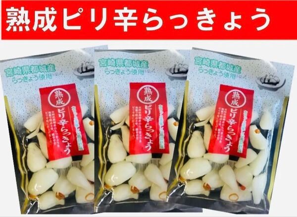 宮崎のお漬物】熟成・ピリ辛らっきょう(甘酢漬)80g 3袋 唐辛子のピリ辛