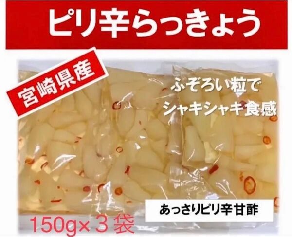 【宮崎のお漬物】あっさりピリ辛らっきょう150g 3袋らっきょう出荷日本一