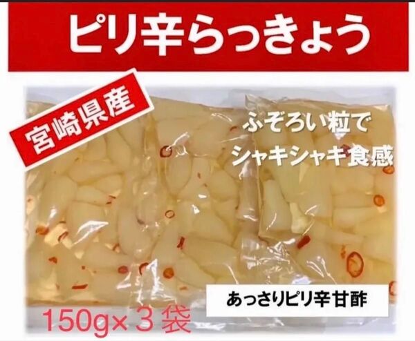 【宮崎のお漬物】あっさりピリ辛らっきょう150g 3袋らっきょう出荷日本一