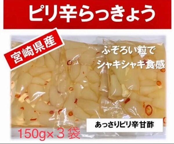【宮崎のお漬物】あっさりピリ辛らっきょう150g 3袋らっきょう出荷日本一
