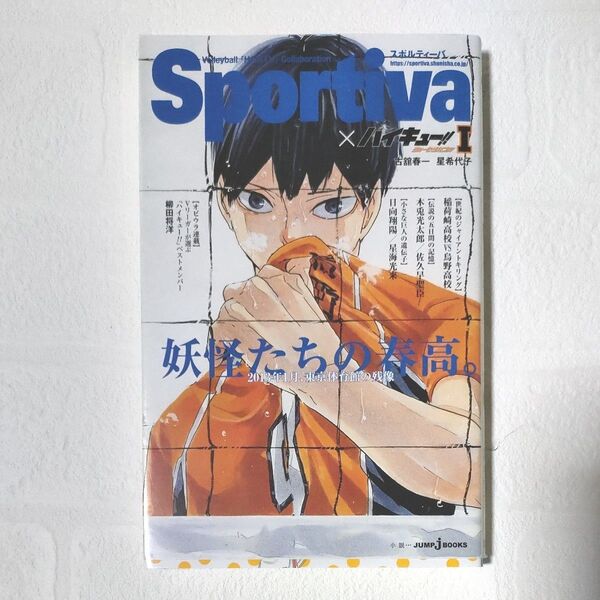 ハイキュー!!ショーセツバン!! 1 (JUMP j BOOKS) 古舘春一/著 星希代子/著