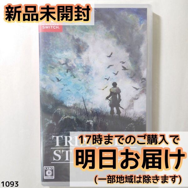 Switch TRIANGLE STRATEGY トライアングルストラテジー