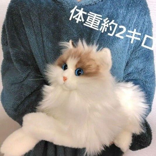 猫 ぬいぐるみ