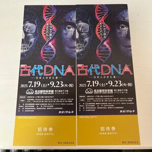 古代DNA 特別展 招待券 2枚