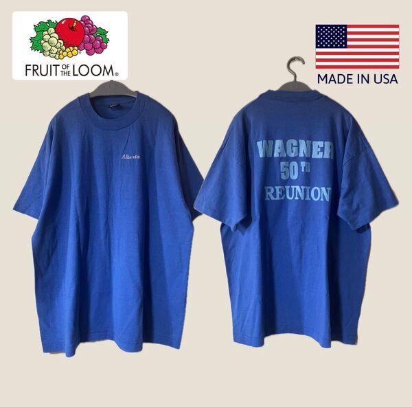 90s USA製 美品 FRUIT OF THE LOOM フルーツオブザルーム Tシャツ 黒タグ シングルステッチ 丸胴 XL
