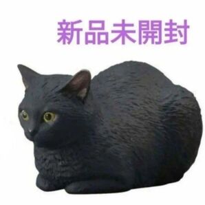 猫フィギュア ミニチュア 森口修 黒猫 猫 ネコ ねこ 置物 ねこぶそう インテリア