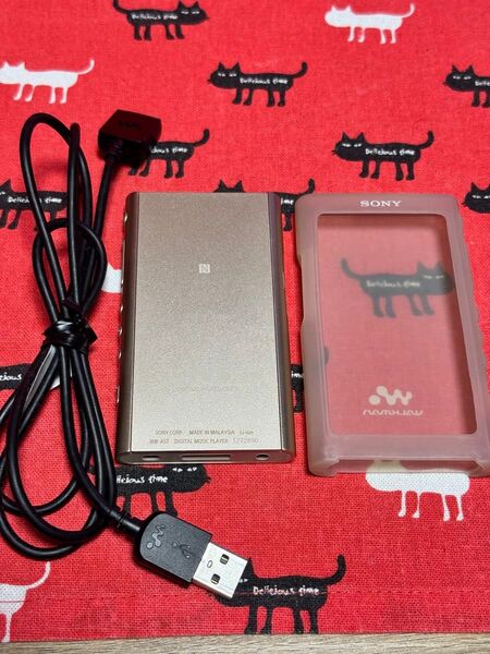 SONY NW-A57 64GB ソニー ウォークマン WALKMAN ハイレゾ Bluetooth対応 ケース 充電ケーブル付き