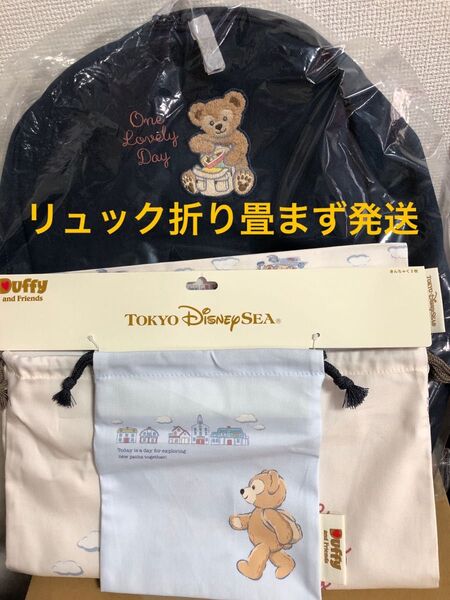 ディズニー ダッフィーフレンズ One lovely day リュックサック 巾着セット 2点セット