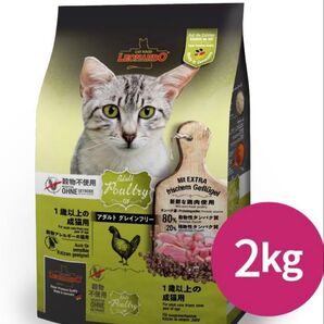 LEONARDO レオナルド ポートリー グレインフリー キャットフード 2kg