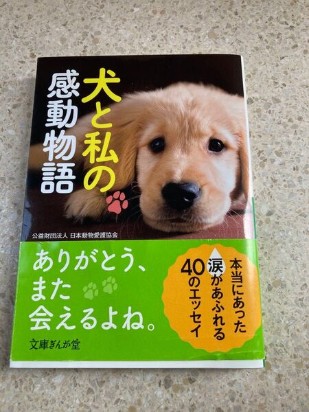 犬と私の感動物語 単行本