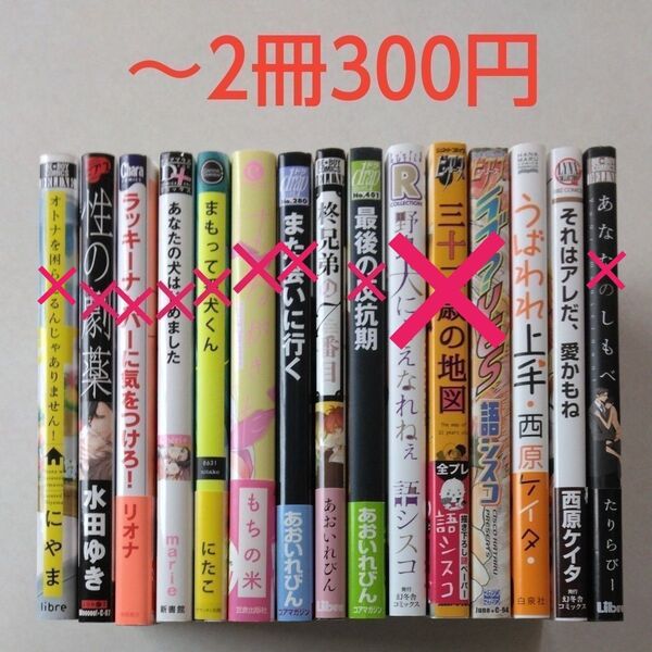 BLコミック/中古/まとめ売り/バラ売り/2冊300円~⑤