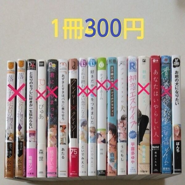 BLコミック/中古/まとめ売り/バラ売り/1冊300円〈値下げしました〉
