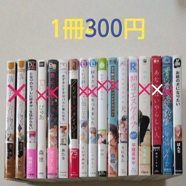 BLコミック/中古/まとめ売り/バラ売り/1冊300円〈値下げしました〉
