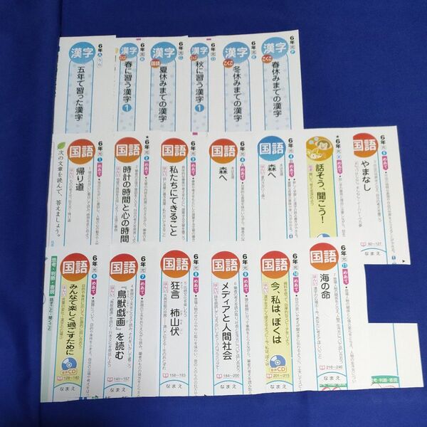 小6 カラーテスト 国語 新学社 光村図書