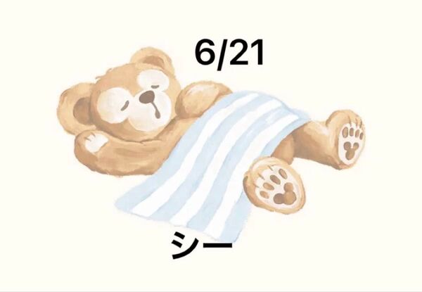 6月21日 ディズニーシー 入園済みチケット グッズ購入用