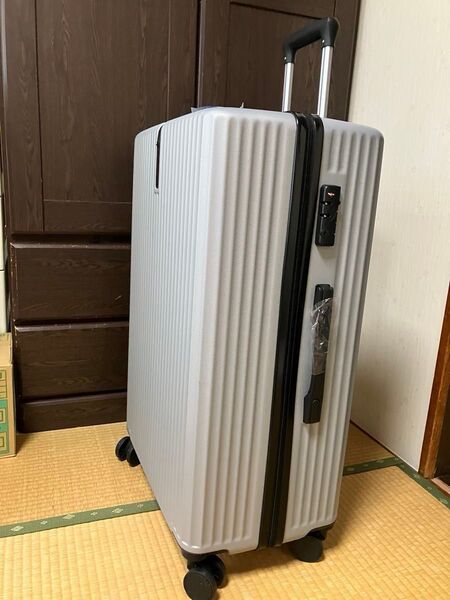 キャリーケース 大型 旅行かばん シルバー