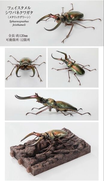 いきもの大図鑑 オンライン限定版 樹皮台座付き フェイスタメルシワバネクワガタ メタリックグリーン