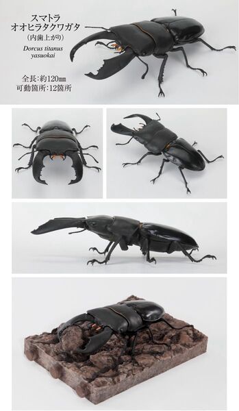 いきもの大図鑑 オンライン限定版 樹皮台座付き スマトラオオヒラタ 内歯上がり a