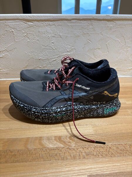 ASICS S4 エルドレッソ コラボレーション 箱無し