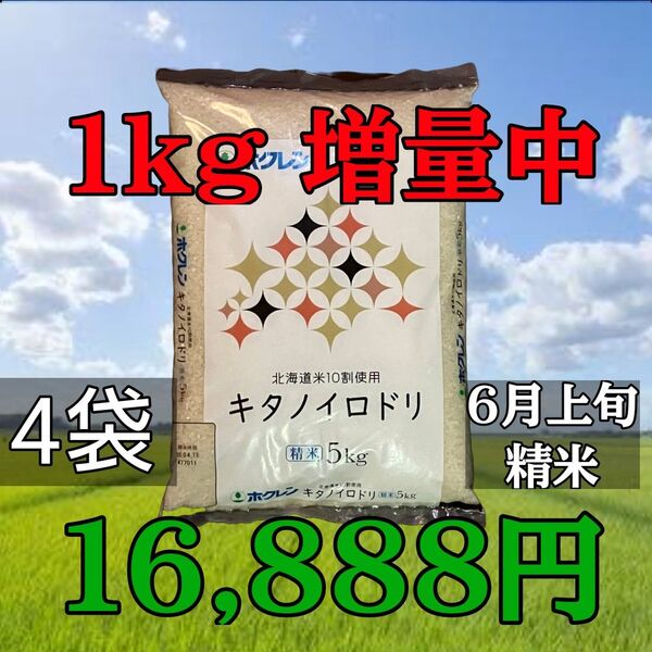 ホクレン キタノイロドリ 5kg×4袋 計20kg+1kg 精米 北海道産 ブレンド米 白米 お米 増量中!