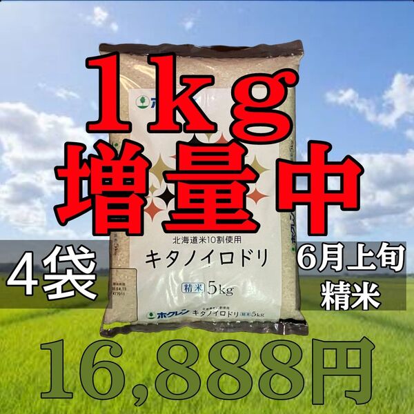 ホクレン キタノイロドリ 5kg×4袋 計20kg+1kg 精米 北海道産 ブレンド米 白米 お米 増量中!
