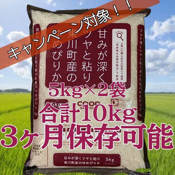 大抽選会対象 北海道産 令和6年産 東川町 ゆめぴりか エージレス 5kg×2袋 計10kg 白米 お米 備蓄