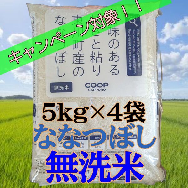 大抽選会対象 北海道産 令和6年産 東川町 ななつぼし 無洗米 5kg×4袋 計20kg お米