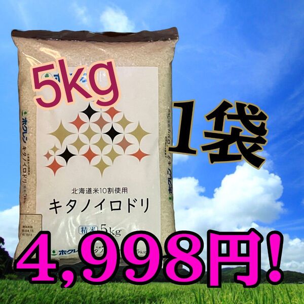 ホクレン キタノイロドリ 5kg 精米 北海道産 ブレンド米 白米 お米