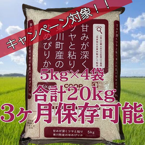 大抽選会対象 北海道産 令和6年産 東川町 ゆめぴりか エージレス 5kg×4袋 計20kg 白米 お米 備蓄