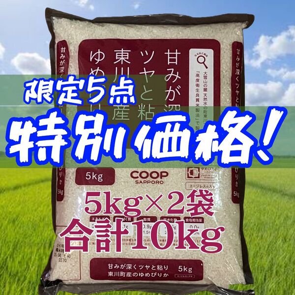 特別価格限定5セット!北海道産 令和6年産 東川町 ゆめぴりか エージレス 5kg×2袋 計10kg 白米 ⑤